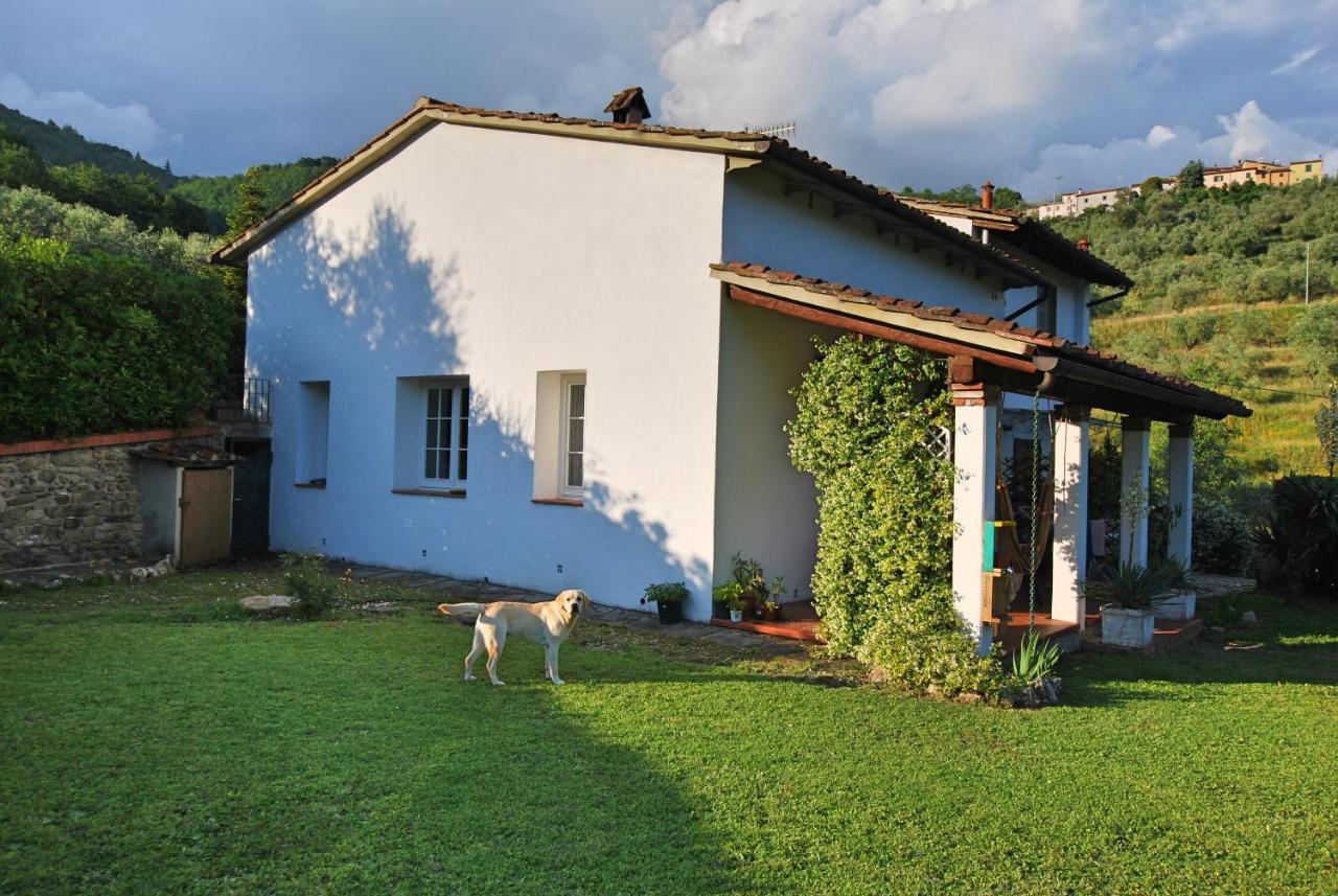 Le Forri Agriturismo E B&B Pistoia Exterior photo